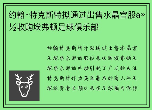 约翰·特克斯特拟通过出售水晶宫股份收购埃弗顿足球俱乐部